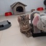 Talia (2)